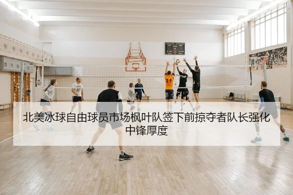 北美冰球自由球员市场枫叶队签下前掠夺者队长强化中锋厚度